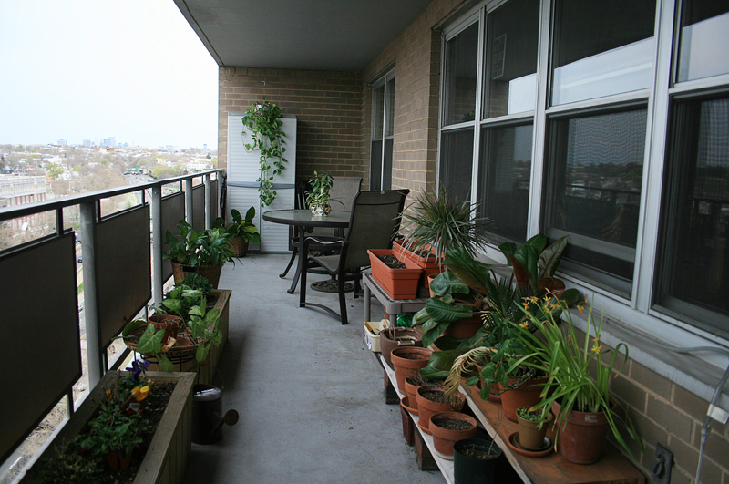 Красивые балконы в частных домах (114 фото)