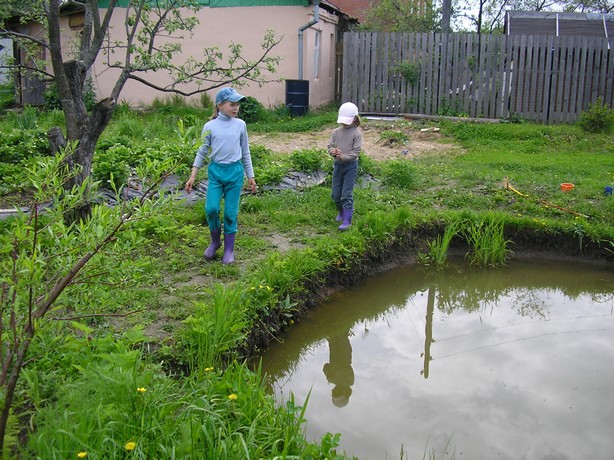 Личный водоем: как сделать пруд на загородном участке