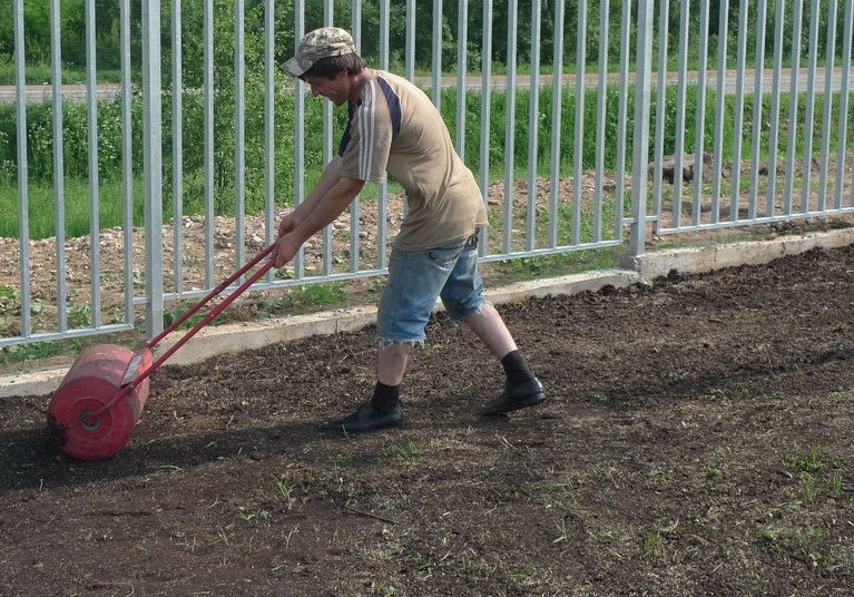 Как сажать газонную траву - подготовка участка под газон своими руками