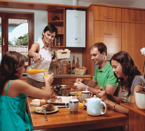 Котёл Protherm Пантера 30 KTV - особенности, характеристики, инструкция ...